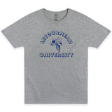Youth Vintage Gameday Tee | Athletic Heather