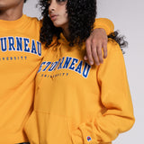 Powerblend Hood | C. Gold